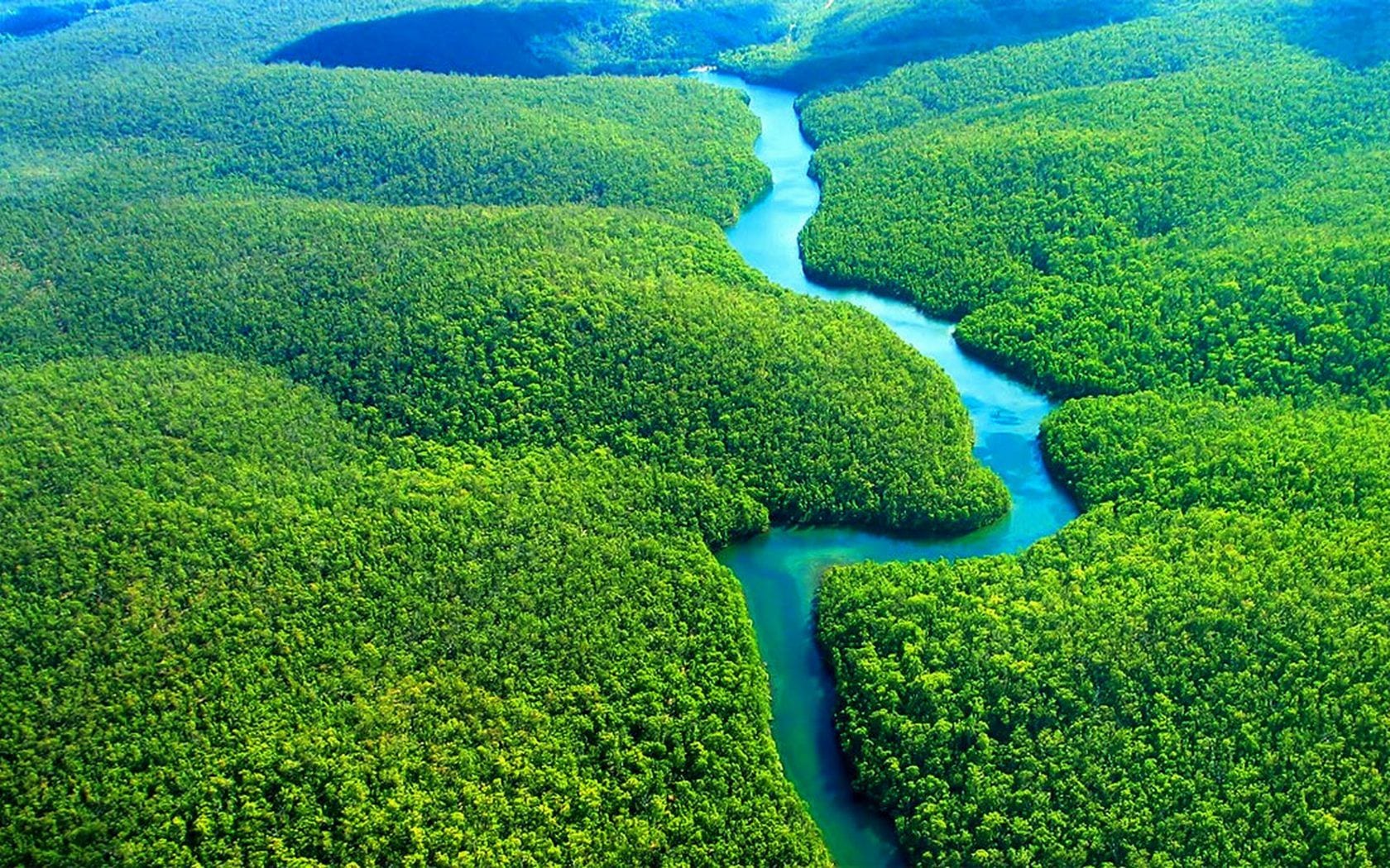 AMAZONIA